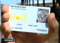 Rail-riding cat reunited with owner