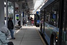 Green Mountain Transit to stay fare-free for another year without reducing service