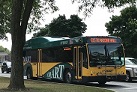 Auburn Hills wants to leave SMART bus system — but judge's ruling becomes major hurdle